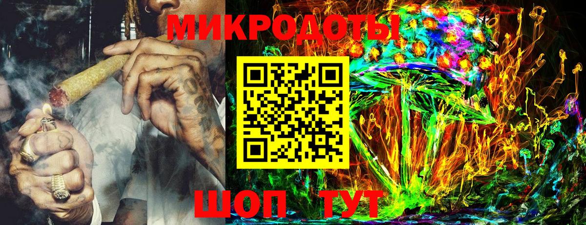 Псилоцибиновые грибы Psilocybe Спасск-Дальний